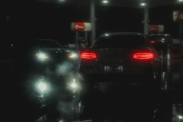 Casino Dove Bingo Application Android/iOS